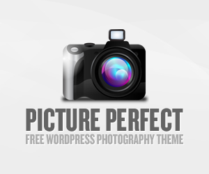 GiantThemes - Best Photography WordPress Themes
